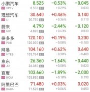 菜鸟应专注于拓展全球物